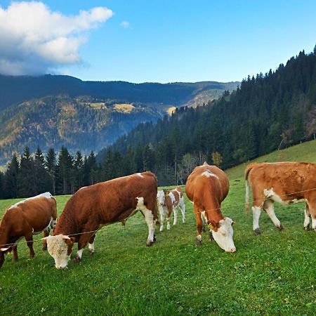 Tourist Farm Kladje Villa Ljubno Екстериор снимка