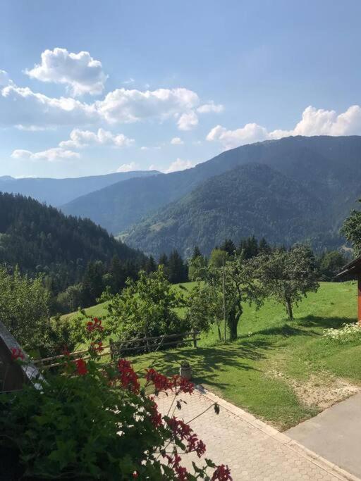 Tourist Farm Kladje Villa Ljubno Екстериор снимка