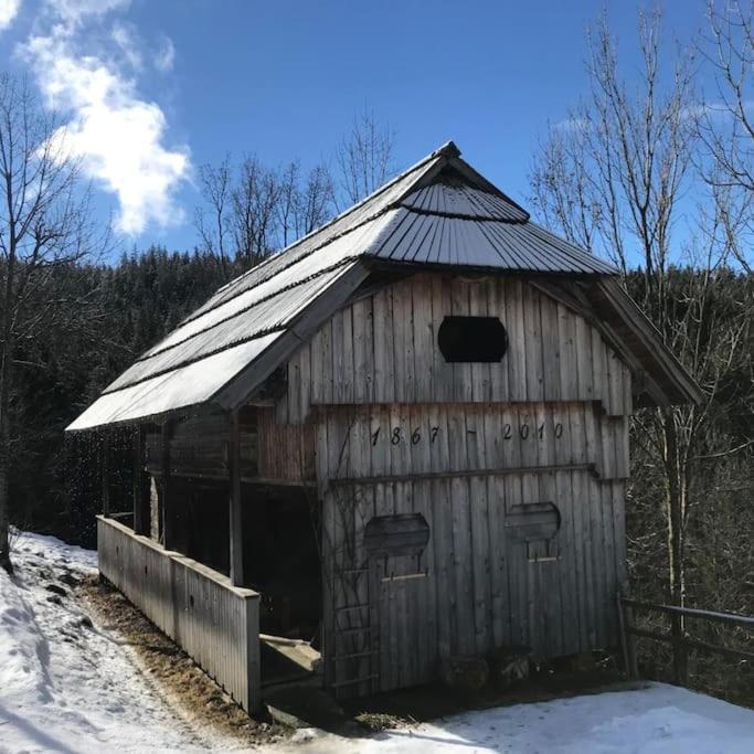 Tourist Farm Kladje Villa Ljubno Екстериор снимка