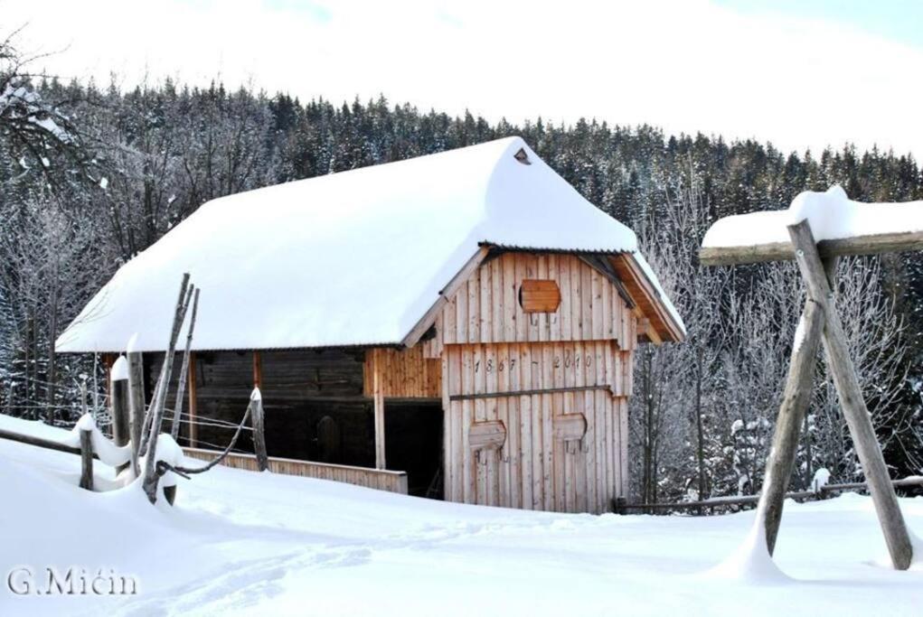 Tourist Farm Kladje Villa Ljubno Екстериор снимка