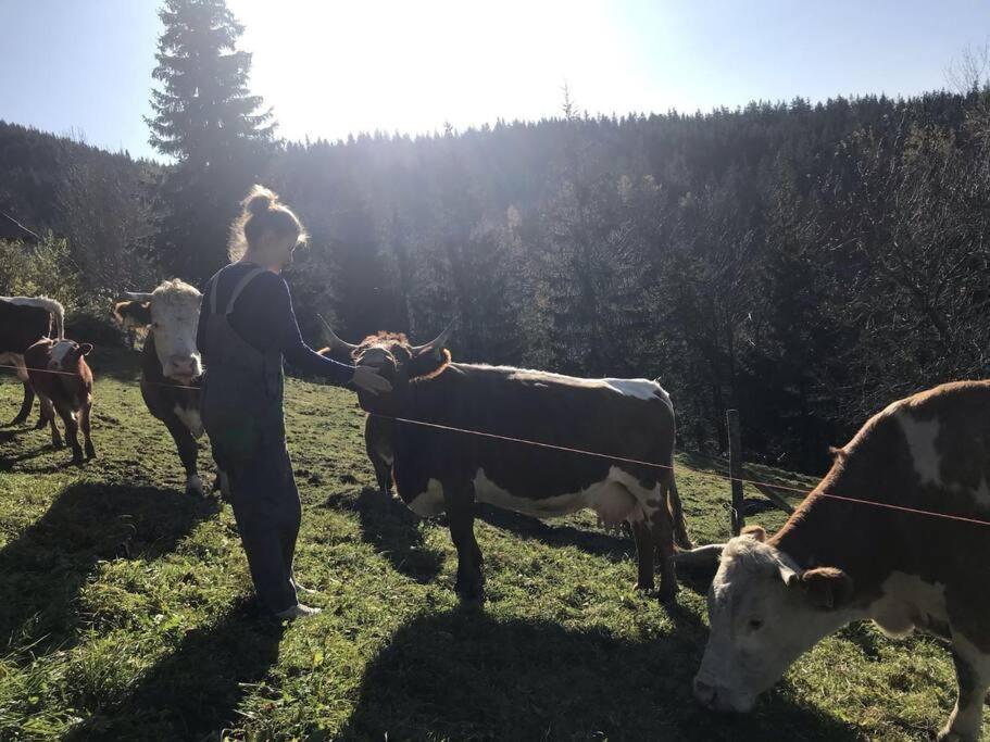 Tourist Farm Kladje Villa Ljubno Екстериор снимка