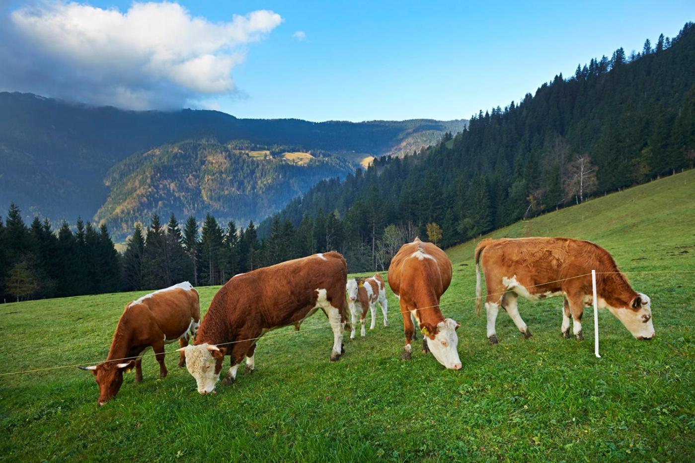 Tourist Farm Kladje Villa Ljubno Екстериор снимка