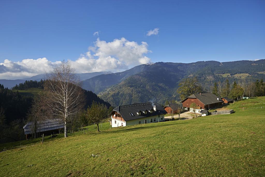 Tourist Farm Kladje Villa Ljubno Екстериор снимка