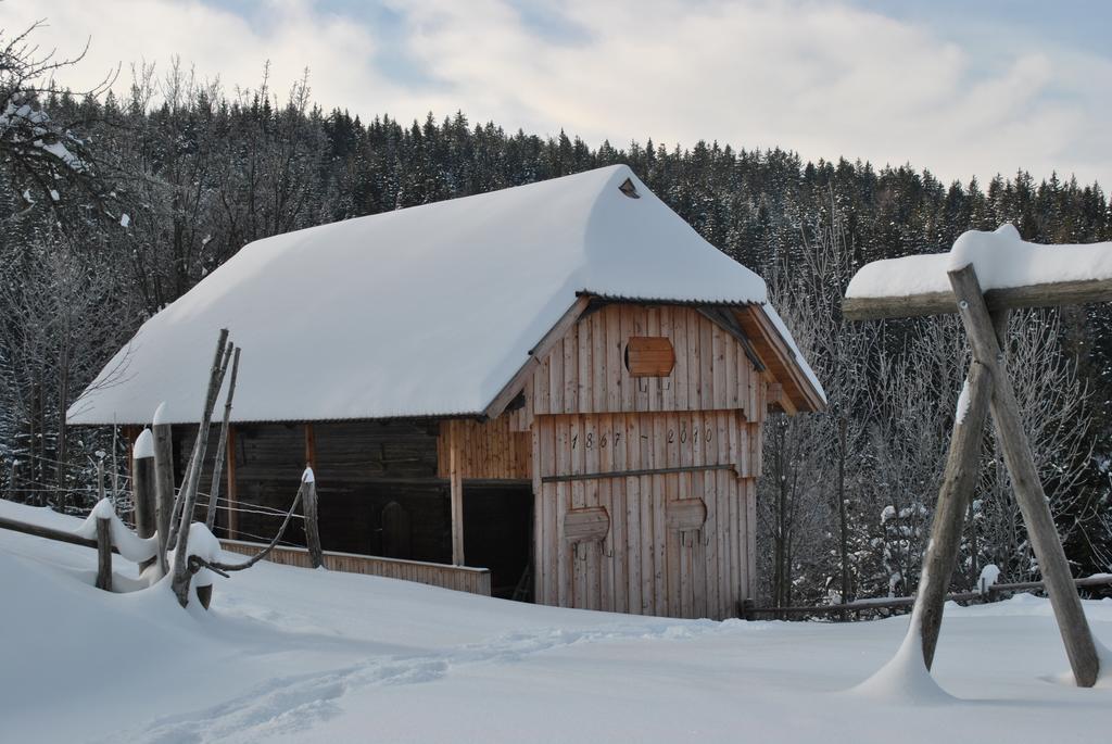 Tourist Farm Kladje Villa Ljubno Екстериор снимка