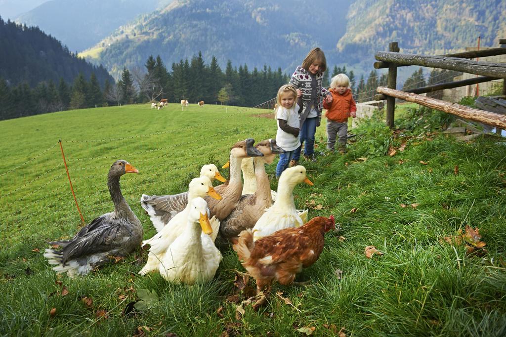 Tourist Farm Kladje Villa Ljubno Екстериор снимка